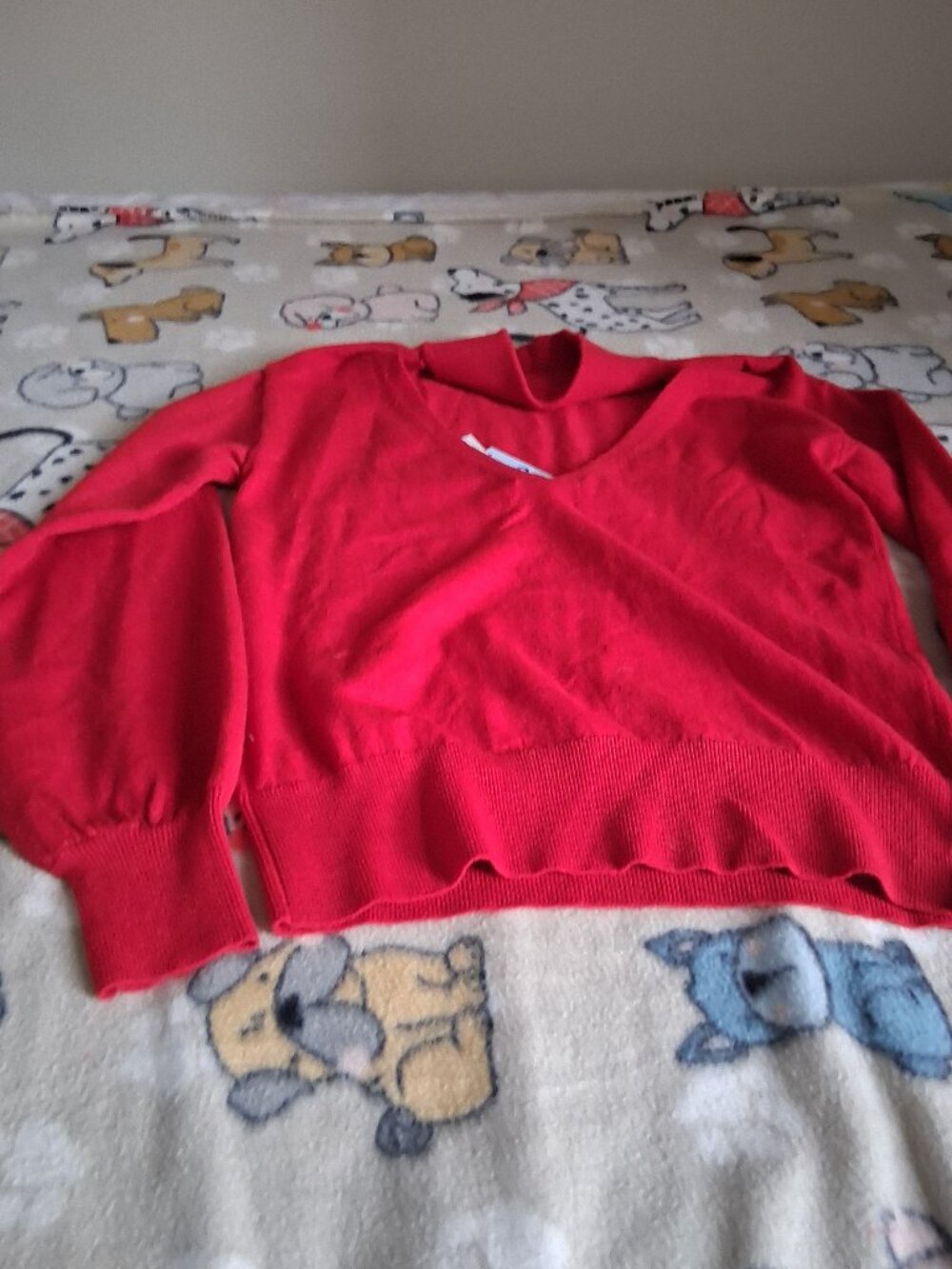 beautiful brand new  woman's sweater
